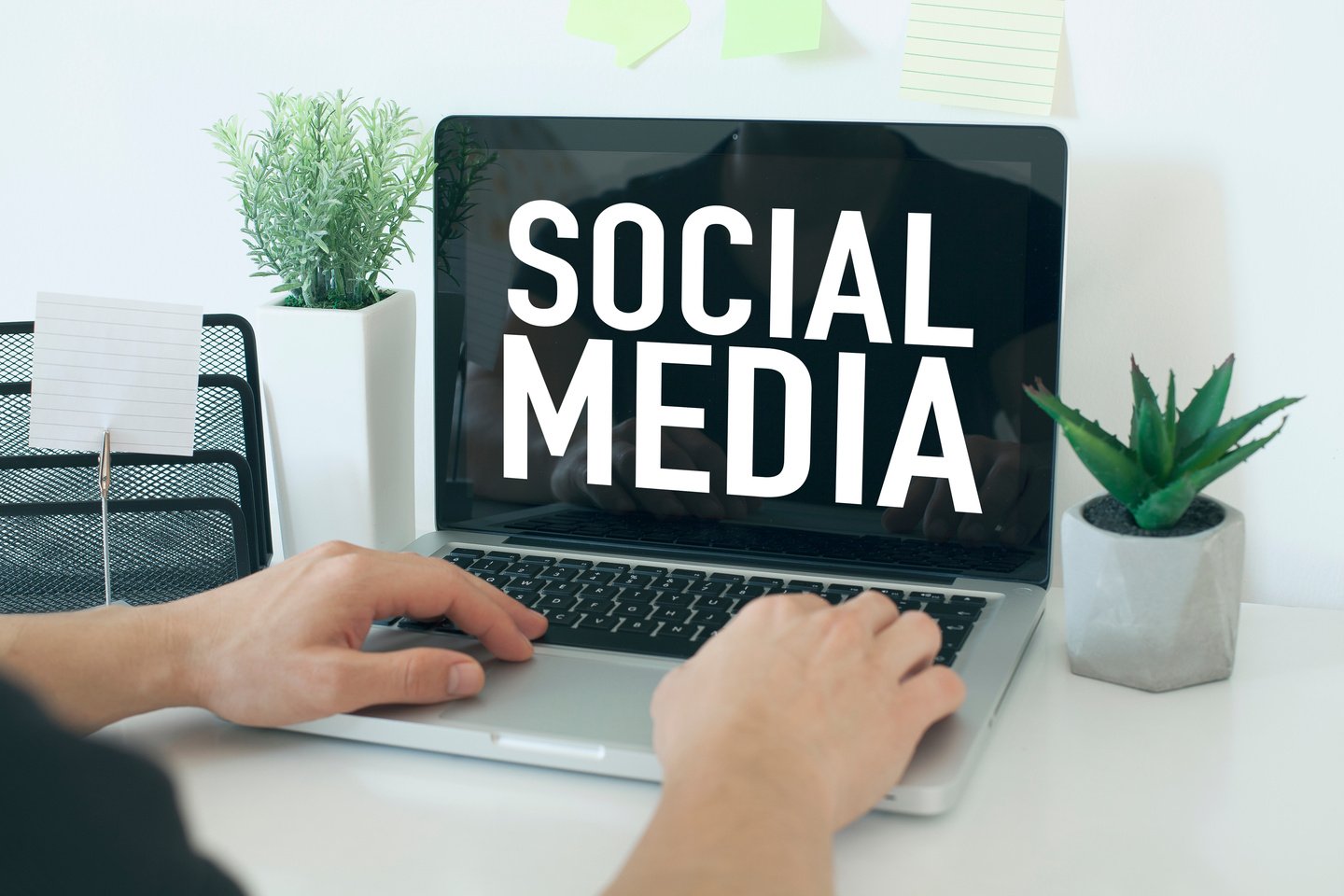 Social Media